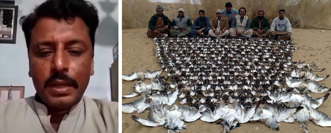Pakistani amateur video reporter killed for covering illegal hunting of protected bird